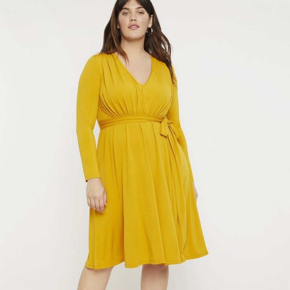 Gathered Waist V-Neck Dress